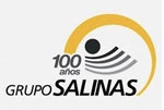 Grupo Salinas, cliente de Grupo Sacani