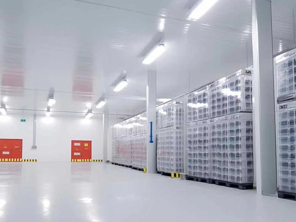 Construcción almacenes refrigerados de Grupo Sacani